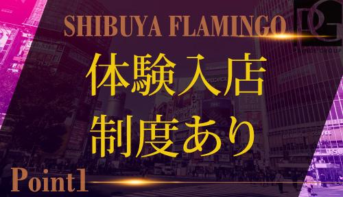 【体験入店制度あり】時給1500円で全額日払い！セクキャバやナイトレジャー系の業界が初めての方、不安がある方はぜひ体験制度をご利用ください。未経験歓迎！外国人OK！